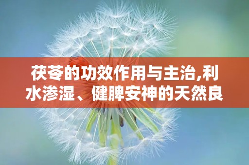 茯苓的功效作用与主治,利水渗湿、健脾安神的天然良药