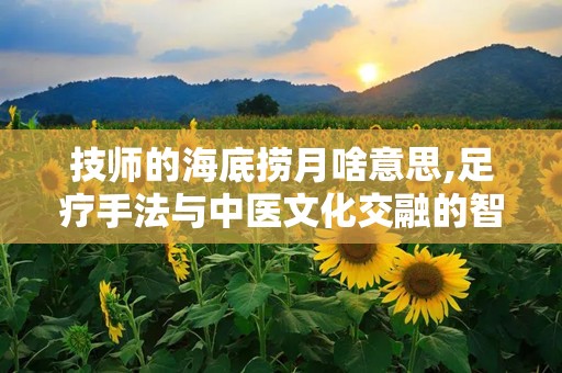 技师的海底捞月啥意思,足疗手法与中医文化交融的智慧