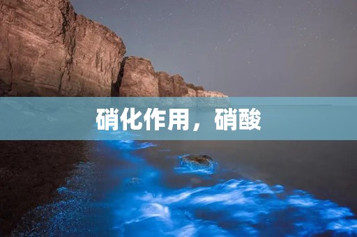 硝化作用，硝酸