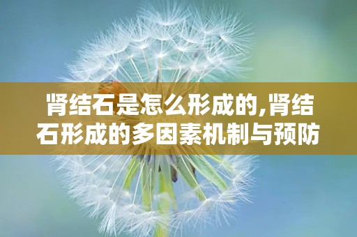 肾结石是怎么形成的,肾结石形成的多因素机制与预防策略