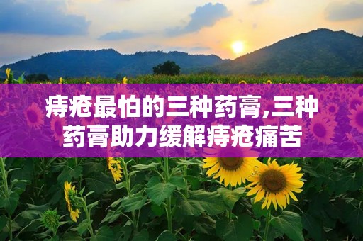 痔疮最怕的三种药膏,三种药膏助力缓解痔疮痛苦