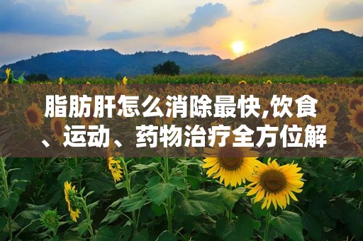 脂肪肝怎么消除最快,饮食、运动、药物治疗全方位解析