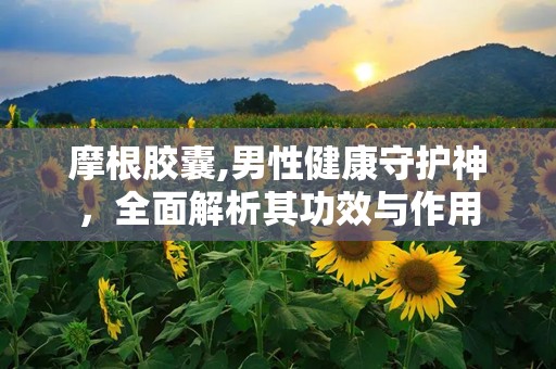 摩根胶囊,男性健康守护神，全面解析其功效与作用