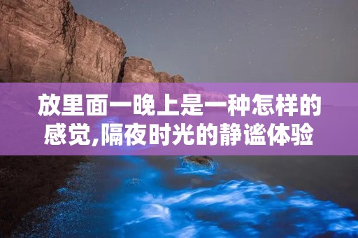放里面一晚上是一种怎样的感觉,隔夜时光的静谧体验”
