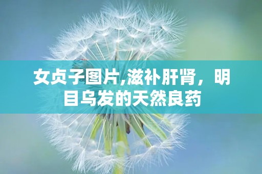 女贞子图片,滋补肝肾，明目乌发的天然良药