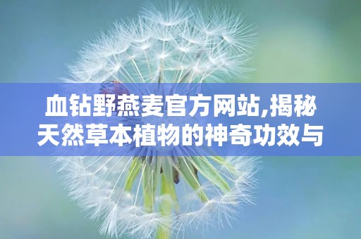 血钻野燕麦官方网站,揭秘天然草本植物的神奇功效与保健秘密