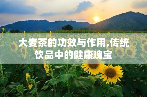 大麦茶的功效与作用,传统饮品中的健康瑰宝