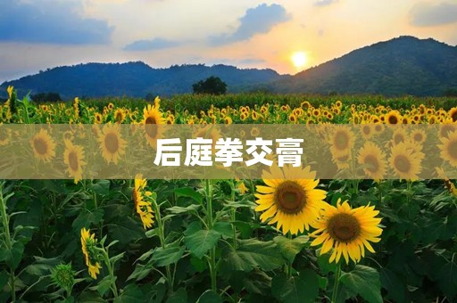 后庭拳交膏