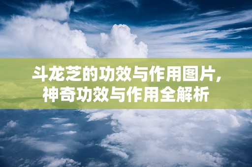斗龙芝的功效与作用图片,神奇功效与作用全解析