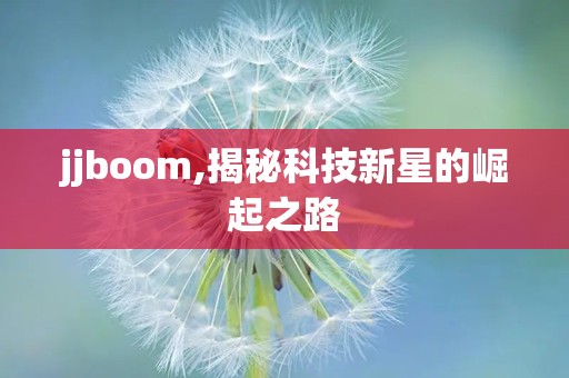 jjboom,揭秘科技新星的崛起之路