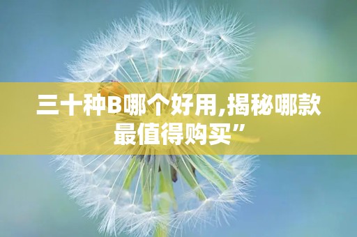 三十种B哪个好用,揭秘哪款最值得购买”