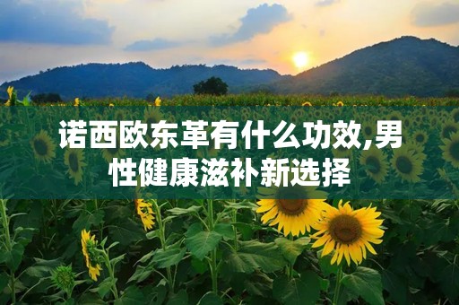 诺西欧东革有什么功效,男性健康滋补新选择