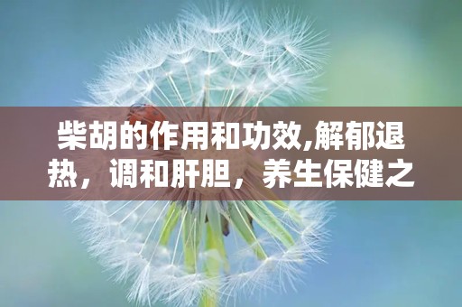 柴胡的作用和功效,解郁退热，调和肝胆，养生保健之宝