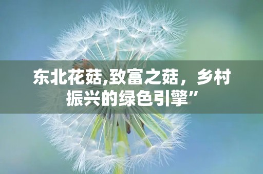 东北花菇,致富之菇，乡村振兴的绿色引擎”