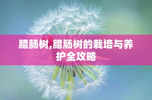腊肠树,腊肠树的栽培与养护全攻略