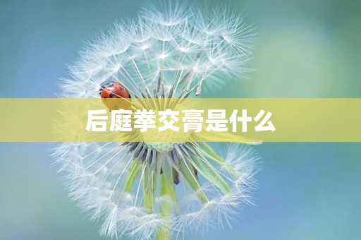 后庭拳交膏是什么