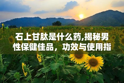 石上甘肽是什么药,揭秘男性保健佳品，功效与使用指南