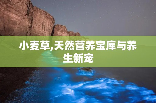 小麦草,天然营养宝库与养生新宠