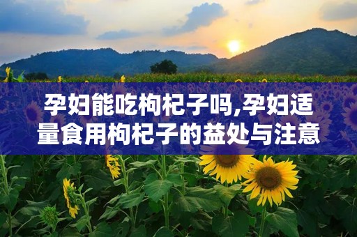 孕妇能吃枸杞子吗,孕妇适量食用枸杞子的益处与注意事项