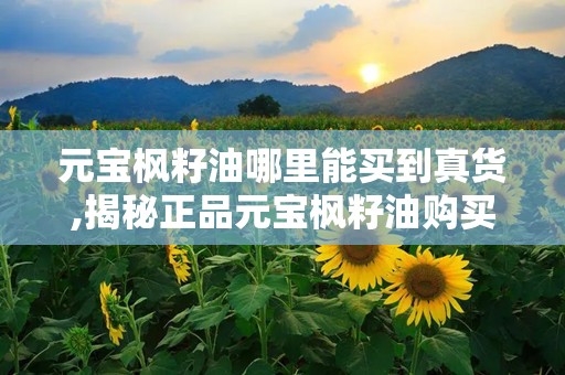 元宝枫籽油哪里能买到真货,揭秘正品元宝枫籽油购买指南