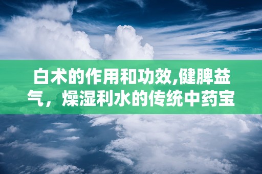 白术的作用和功效,健脾益气，燥湿利水的传统中药宝库
