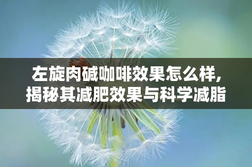 左旋肉碱咖啡效果怎么样,揭秘其减肥效果与科学减脂之道”
