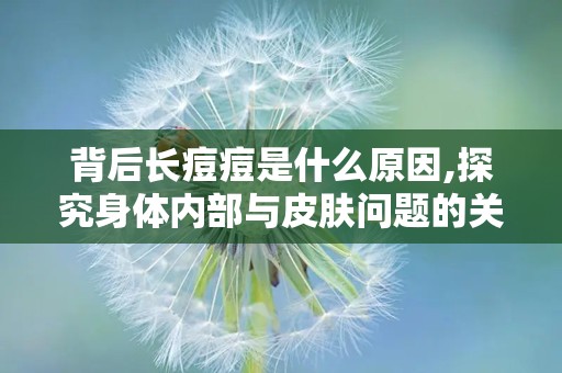 背后长痘痘是什么原因,探究身体内部与皮肤问题的关联”