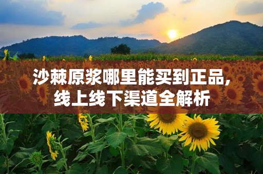 沙棘原浆哪里能买到正品,线上线下渠道全解析