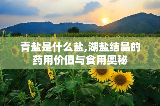青盐是什么盐,湖盐结晶的药用价值与食用奥秘