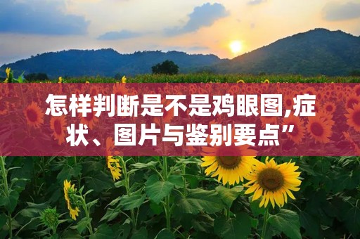怎样判断是不是鸡眼图,症状、图片与鉴别要点”