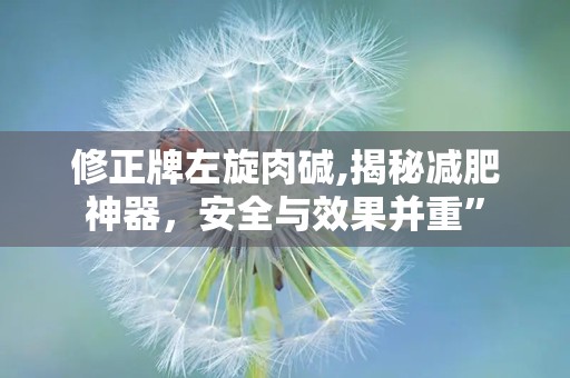 修正牌左旋肉碱,揭秘减肥神器，安全与效果并重”