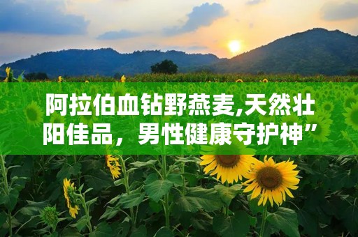 阿拉伯血钻野燕麦,天然壮阳佳品，男性健康守护神”