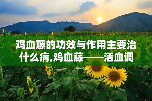 鸡血藤的功效与作用主要治什么病,鸡血藤——活血调经，舒筋活络，多效良药
