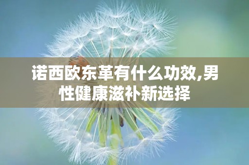 诺西欧东革有什么功效,男性健康滋补新选择