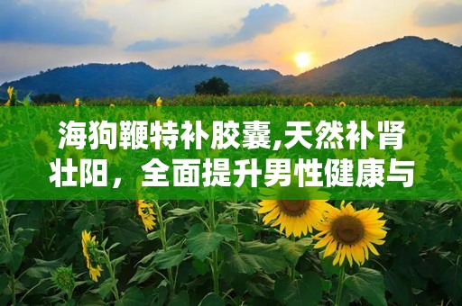 海狗鞭特补胶囊,天然补肾壮阳，全面提升男性健康与活力