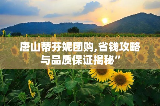 唐山蒂芬妮团购,省钱攻略与品质保证揭秘”
