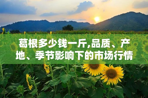 葛根多少钱一斤,品质、产地、季节影响下的市场行情