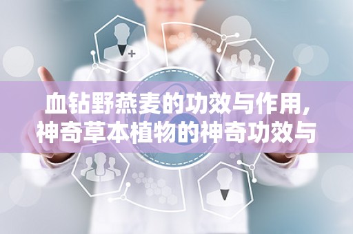 血钻野燕麦的功效与作用,神奇草本植物的神奇功效与作用揭秘