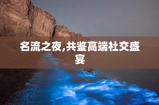 名流之夜,共鉴高端社交盛宴