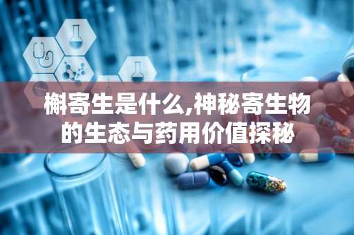 槲寄生是什么,神秘寄生物的生态与药用价值探秘