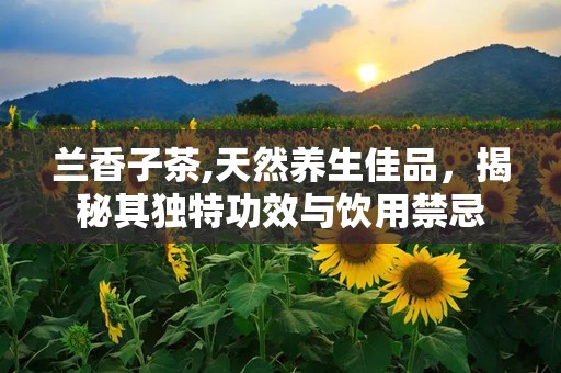 兰香子茶,天然养生佳品，揭秘其独特功效与饮用禁忌