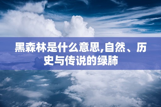黑森林是什么意思,自然、历史与传说的绿肺