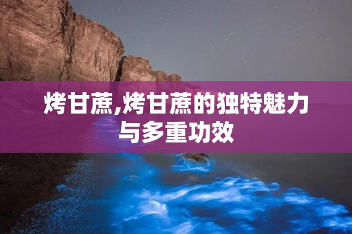 烤甘蔗,烤甘蔗的独特魅力与多重功效