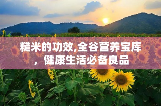 糙米的功效,全谷营养宝库，健康生活必备良品