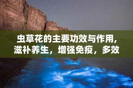 虫草花的主要功效与作用,滋补养生，增强免疫，多效保健珍品