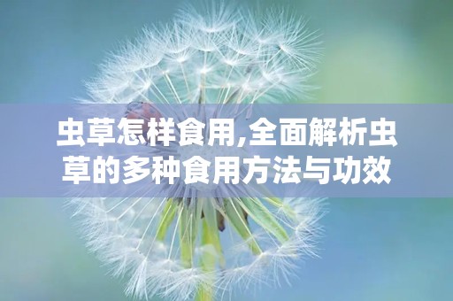 虫草怎样食用,全面解析虫草的多种食用方法与功效