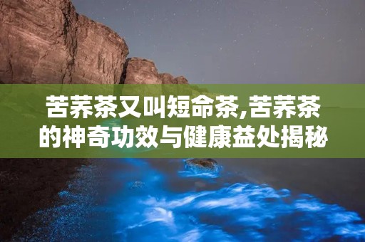 苦荞茶又叫短命茶,苦荞茶的神奇功效与健康益处揭秘