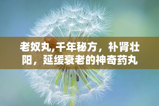 老奴丸,千年秘方，补肾壮阳，延缓衰老的神奇药丸