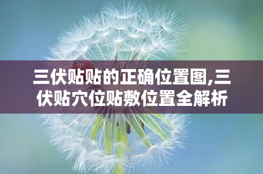 三伏贴贴的正确位置图,三伏贴穴位贴敷位置全解析