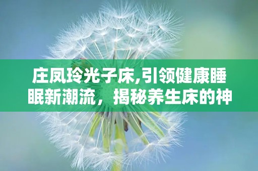 庄凤玲光子床,引领健康睡眠新潮流，揭秘养生床的神奇功效与价格解析”